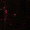 027 Вавилон