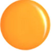 335 Apricot