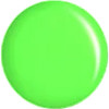 345 Lime