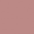 501 Peachy nude