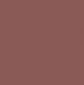 509 Brown nude