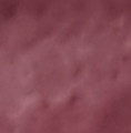 тон 04