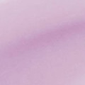 03 grape