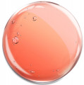 Jelly Citrus