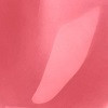04 Pink Passion