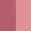 019 Vibrant Rose