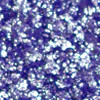 №21
