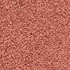 09 Copper coin