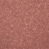 02 Shiny Brown