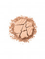091 Medium cream rose