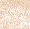 оттенок  01 Champagne