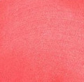 02 Sunlit Coral