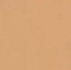 55 Beige