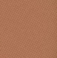 02 Warm Tan