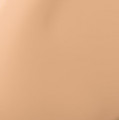 2N