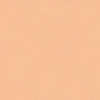 300A Light Nude