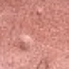 003 Coral Red