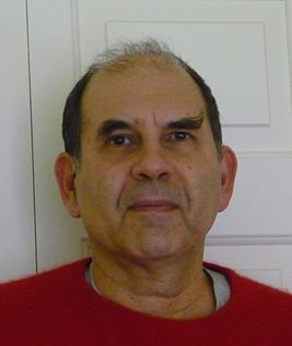 Н. А. Салингарос