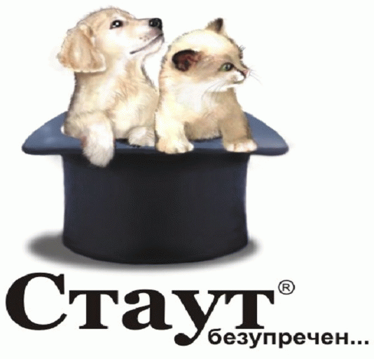 Стаут