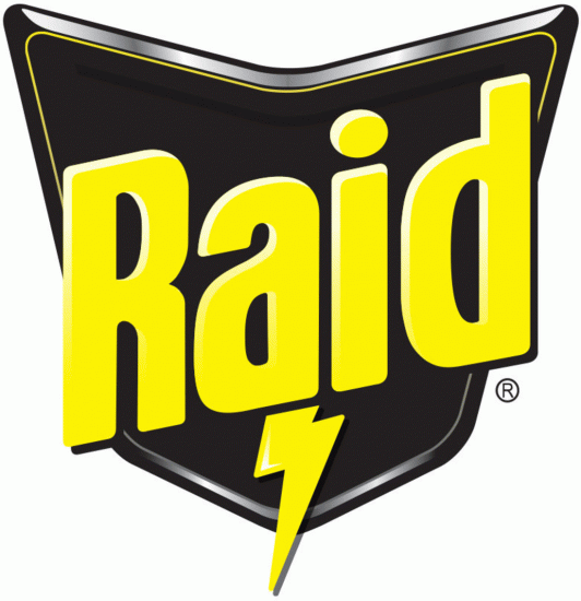 Raid