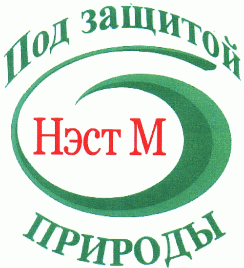 НэстМ