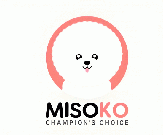 Misoko & co
