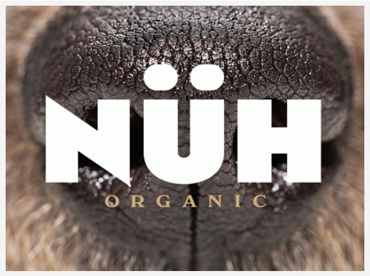 NÜH