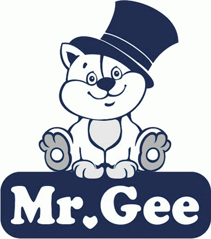 Mr.Gee