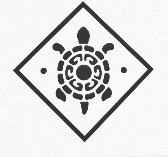 Мудрая черепаха