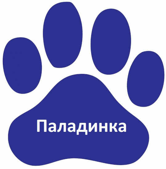 Паладинка