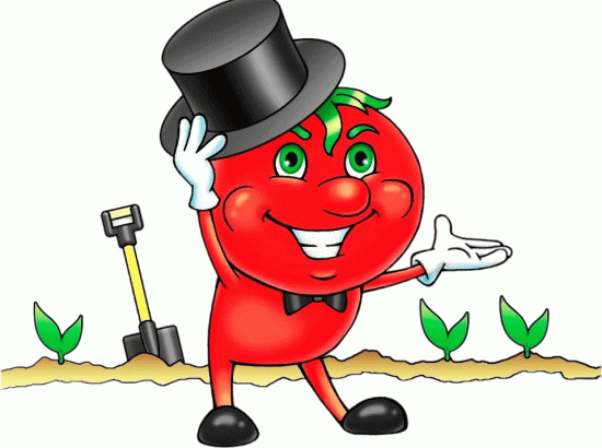 Синьор Помидор