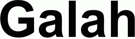 Galah