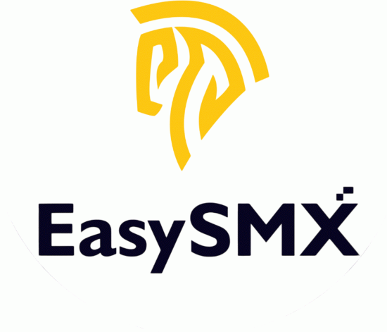 EasySMX