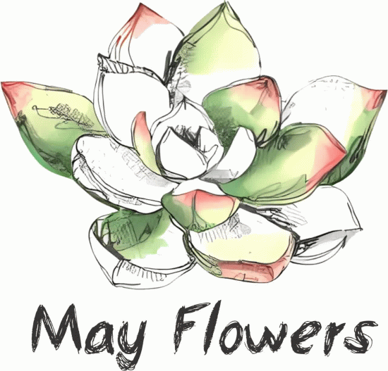 May Flowers