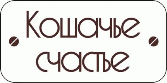 Кошачье счастье