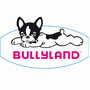 Bullyland