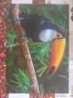 Отзыв на Пазл «Птица Тукан. Бразилия» от Layla Kassulke
