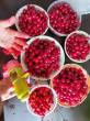 Отзыв на Машинка для удаления косточек «Plum» от Айсулу