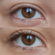 Отзыв на Тушь для ресниц «Glam & Doll Curl & Volume Mascara», оттенок 010 Black от Дина