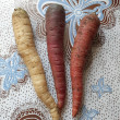 Отзыв на Морковь «Карамель фиолетовая», «Карамель сахарная» и «Карамель с начинкой» от Алеся