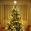 Отзыв на Ель искусственная «Городская» от Shea Nikolaus I
