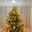 Отзыв на Ель искусственная «Городская» от Shea Nikolaus I