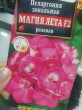 Отзыв на Семена. Пеларгония «Магия лета F2», розовая от Лилия