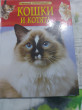 Отзыв на Кошки и котята от Инна