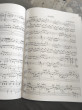 Отзыв на Нотная копилка будущего виртуоза. 5 класс от Rowan Schowalter
