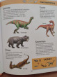 Отзыв на Детская энциклопедия. Динозавры и доисторические животные от Ната