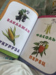 Отзыв на Годовой курс занятий: для детей от рождения до года (+аудиозаписи для малыша) от Назгуль