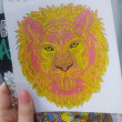 Отзыв на Львы. Раскраска. Арт терапия от Antonina