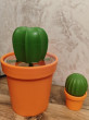 Отзыв на Набор для специй «Cactus» от Илья