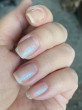 Отзыв на Лак для ногтей «Extreme Glitter Shine»,  оттенок 210 от PIM